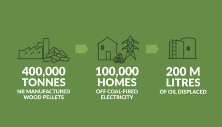 全球48%的木屑顆粒消費(fèi)來自住宅和商業(yè)建筑。從2020年到2021年，歐洲家庭生物質(zhì)消費(fèi)量增長了18%，商業(yè)應(yīng)用增長了12.5%。