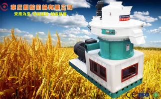 中國(guó)創(chuàng)新提速，綠色經(jīng)濟(jì)之離心高效環(huán)模顆粒機(jī)