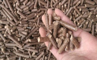 鋸末顆粒機(jī)生物質(zhì)燃料與燃煤對(duì)比情況如何？