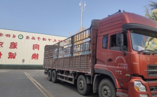 忙碌的五月，忙碌的發(fā)貨，金格瑞顆粒機(jī)生產(chǎn)線發(fā)往全國各地