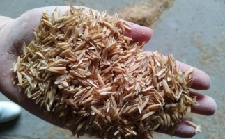 為什么稻殼較難燃燼?稻殼顆粒機(jī)生產(chǎn)顆粒幾個步驟？