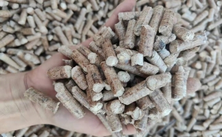 木材加工廠木屑堆積如山，環(huán)保部門令趕緊處理怎么辦？有它就夠了