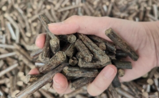 木屑燃料顆粒熱值多少大卡，完全取決于燃料的原料